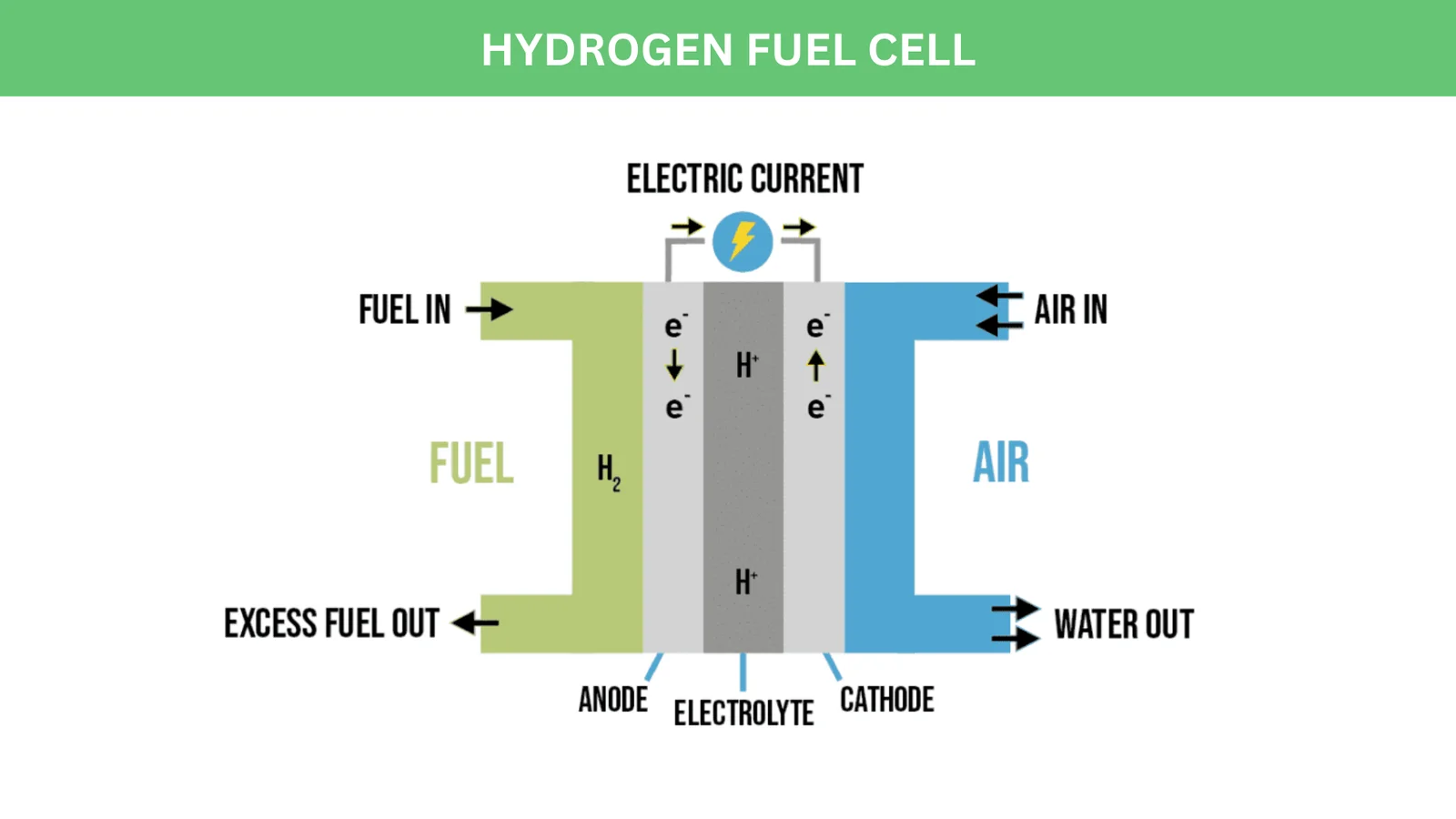 The Hydrogen Fuel Cell Revolution