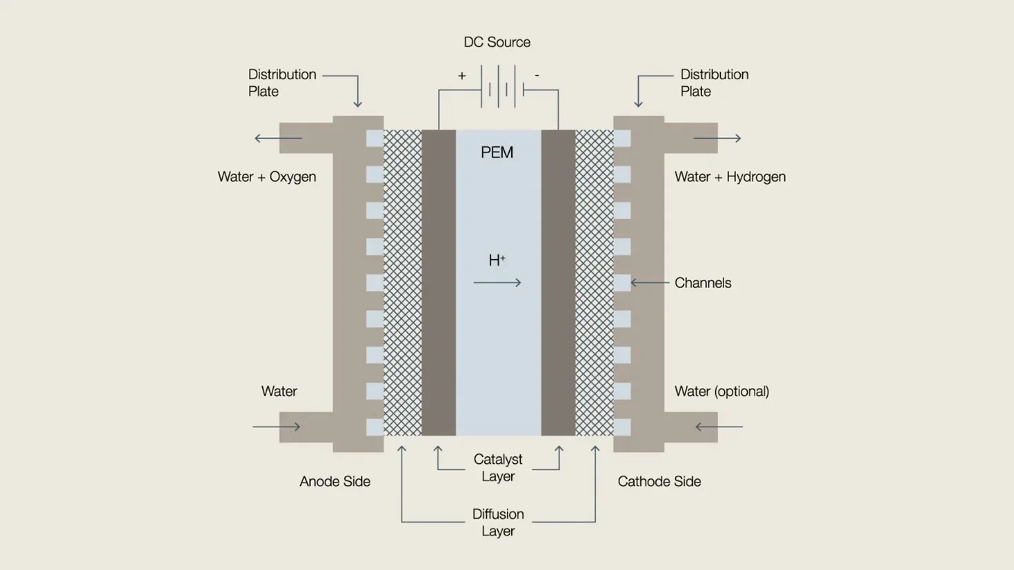 Proton exchange membrane water electrolysis illustration